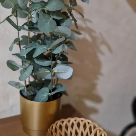 Tatil Evi Le Loft Caraman